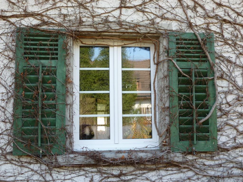 Fenster mit Sprossen 2